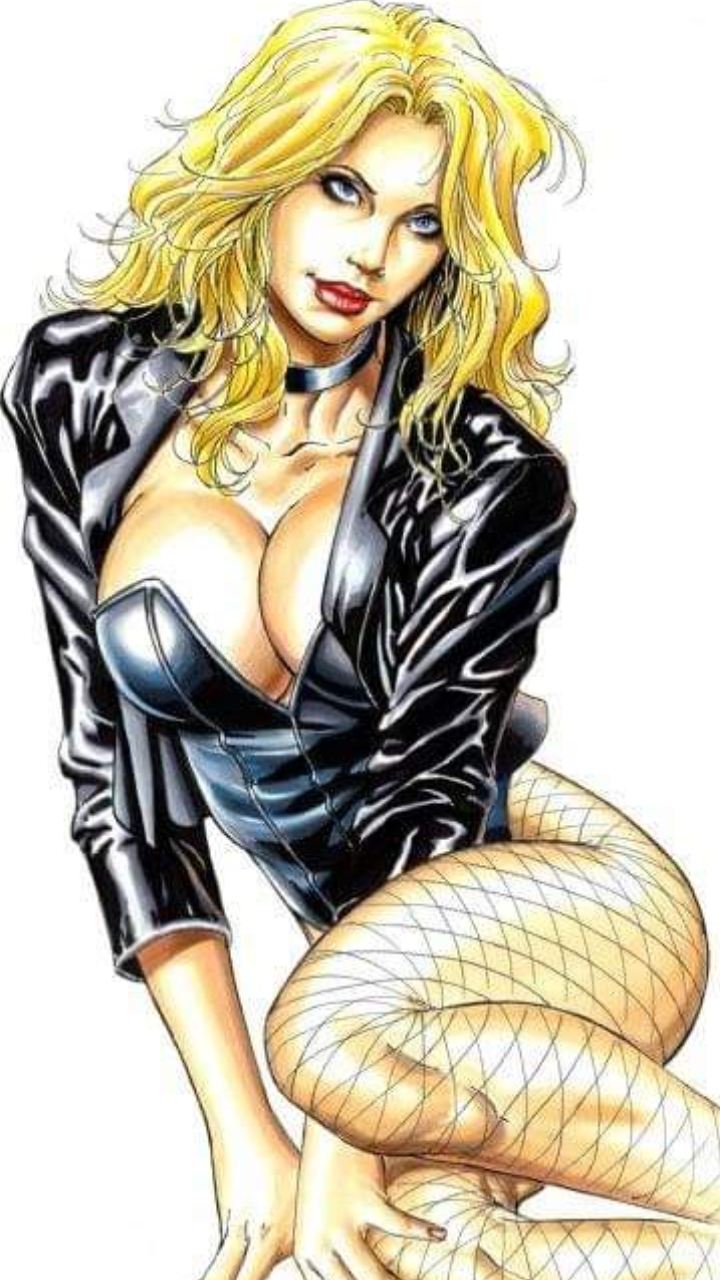 Anime,Toons & Porn 27