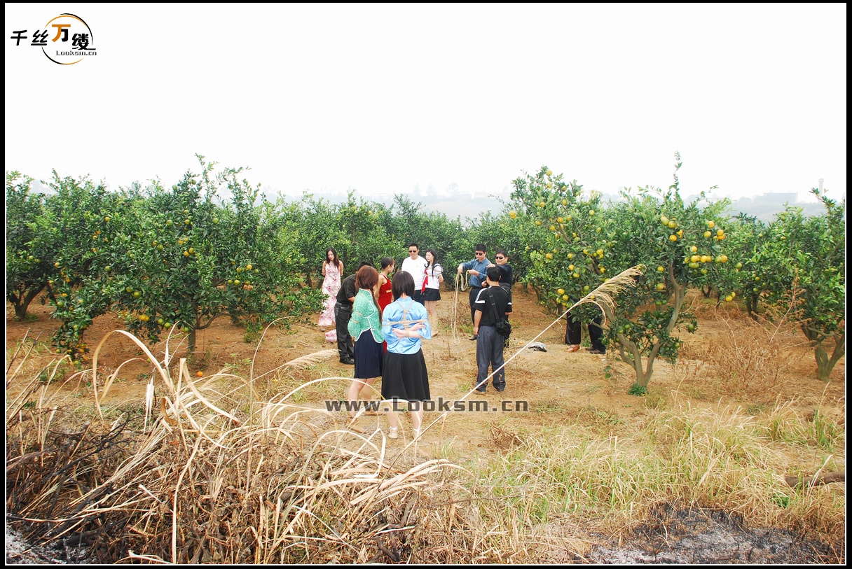 Chinese Rope Model 72