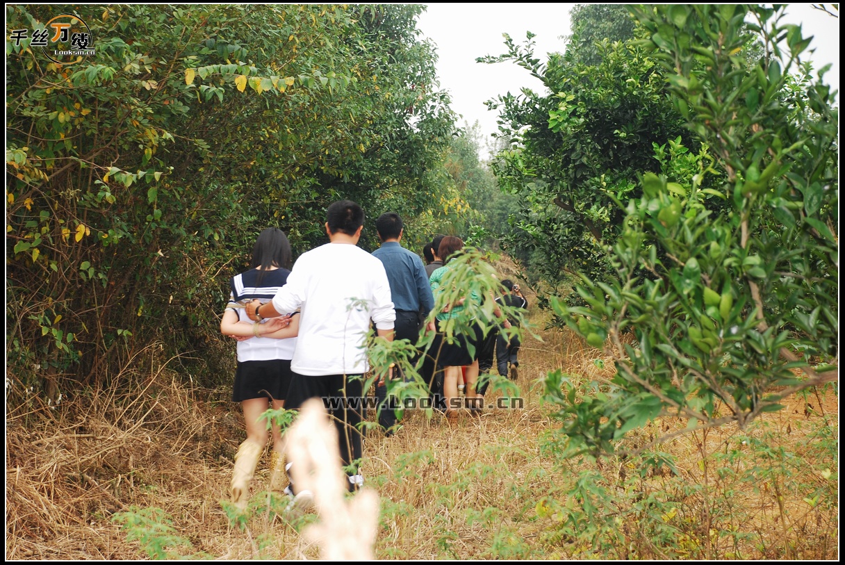 Chinese Rope Model 72