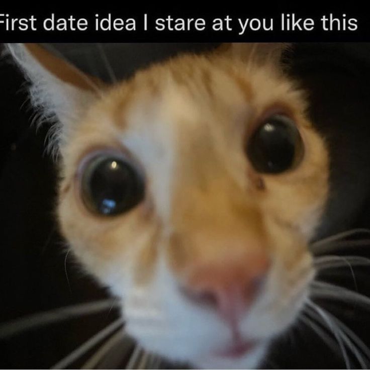 my character code is in the desc! (yes you can make a video)