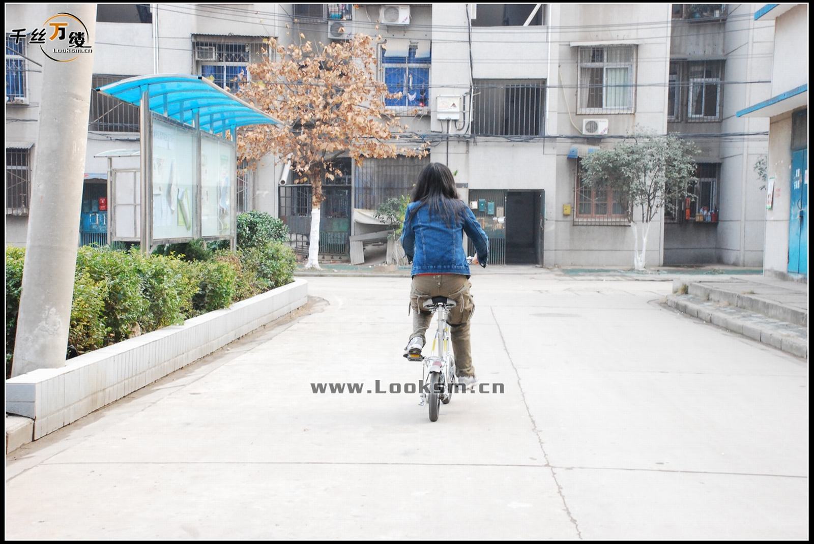 Chinese Rope Model 142