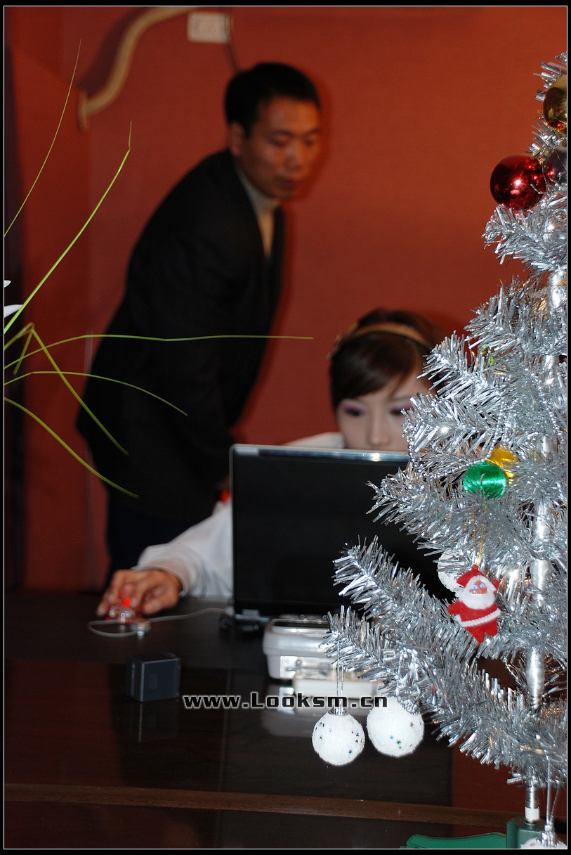 Chinese Rope Model 169