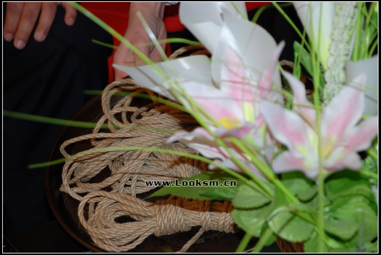 Chinese Rope Model 175