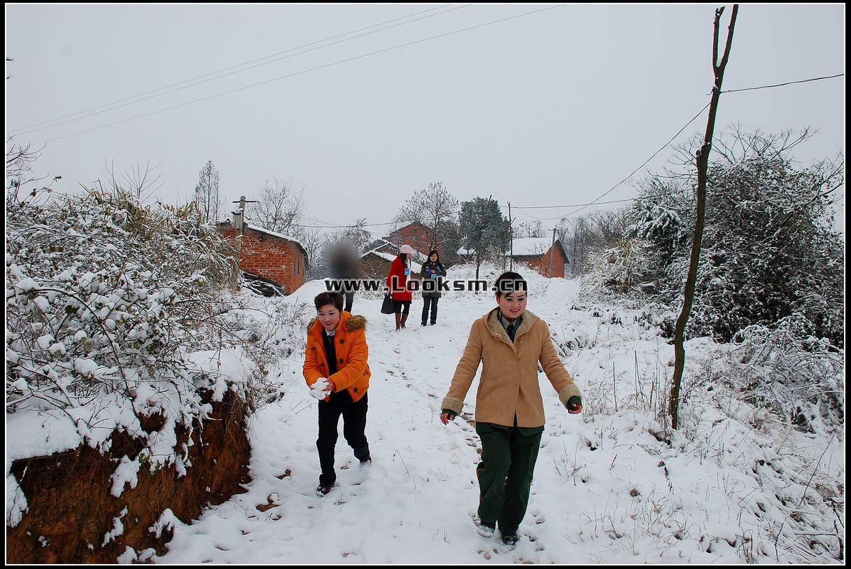 Chinese Rope Model 181