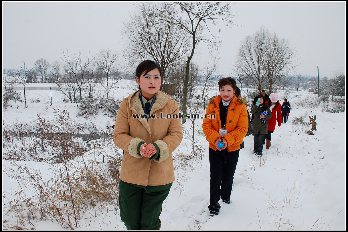 Chinese Rope Model 181