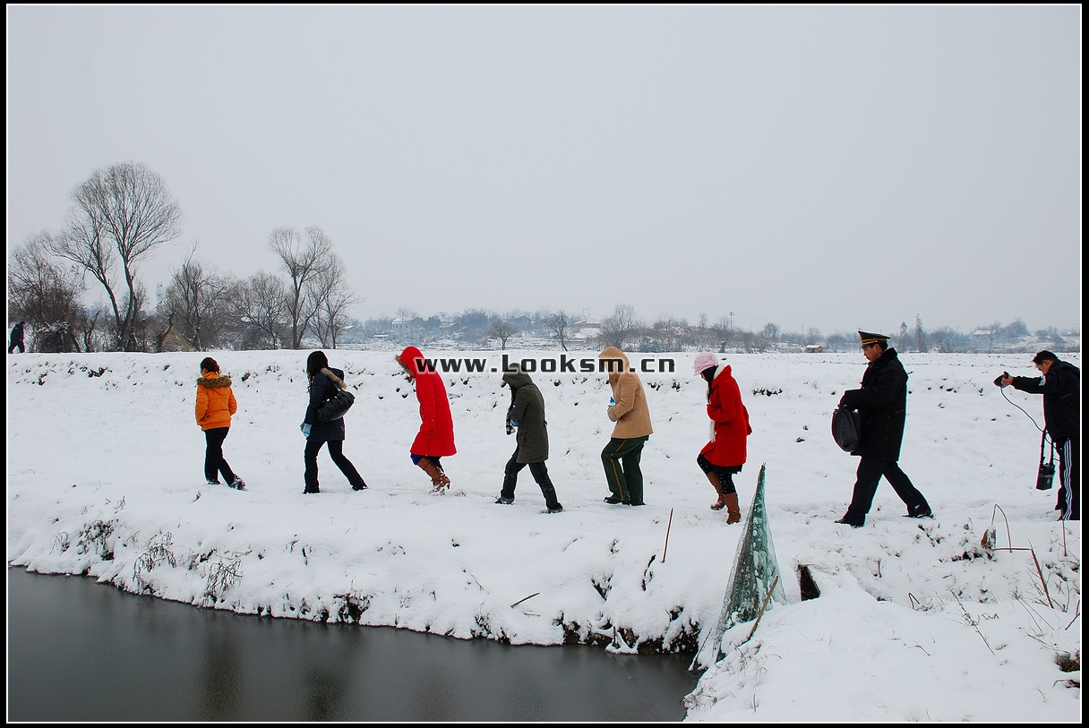 Chinese Rope Model 181