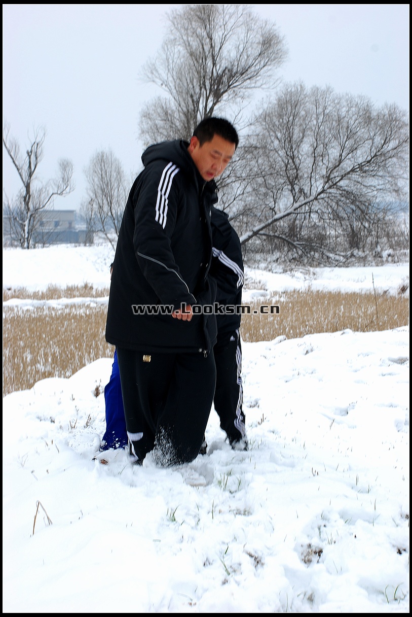 Chinese Rope Model 181