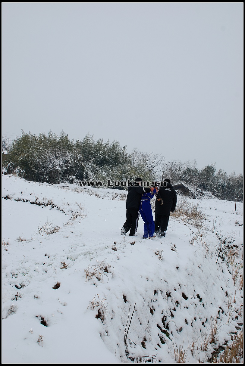 Chinese Rope Model 181