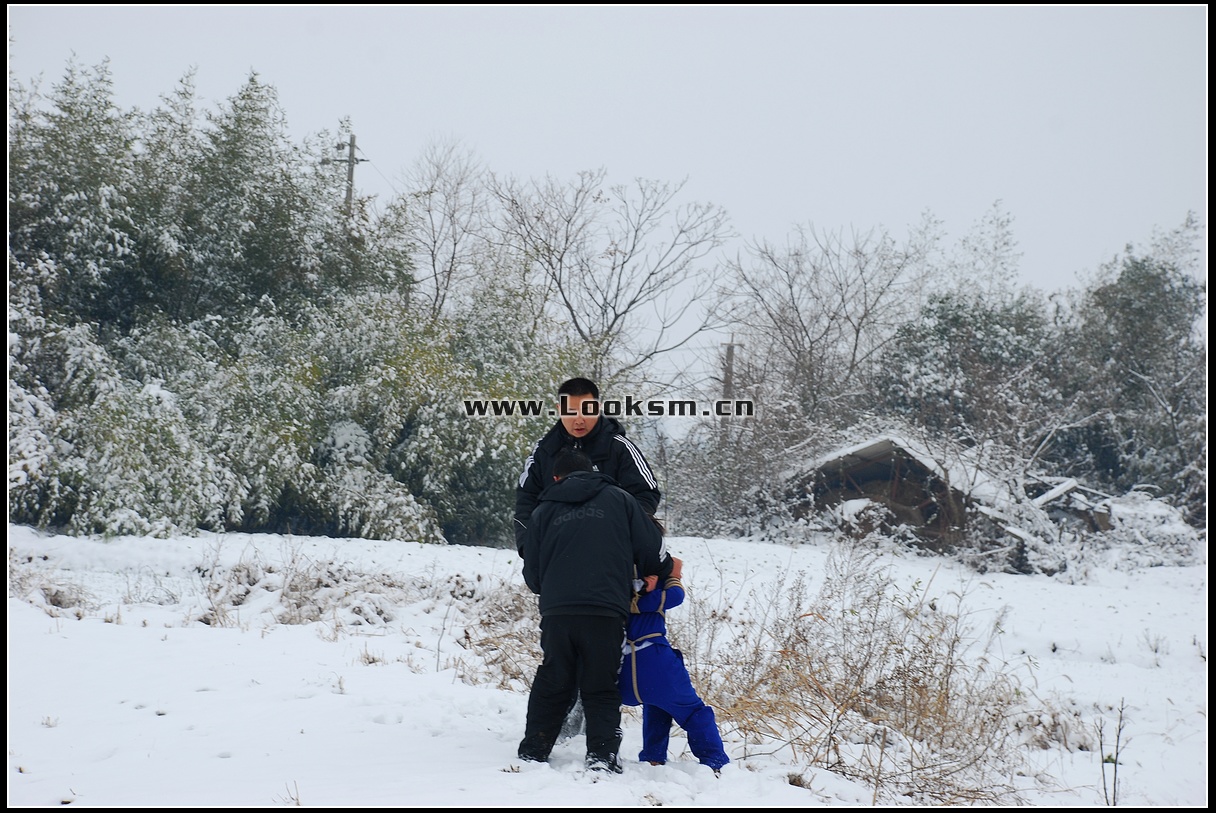 Chinese Rope Model 181