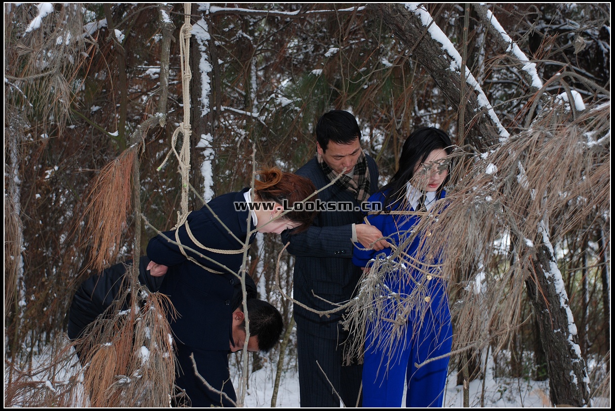 Chinese Rope Model 181-3