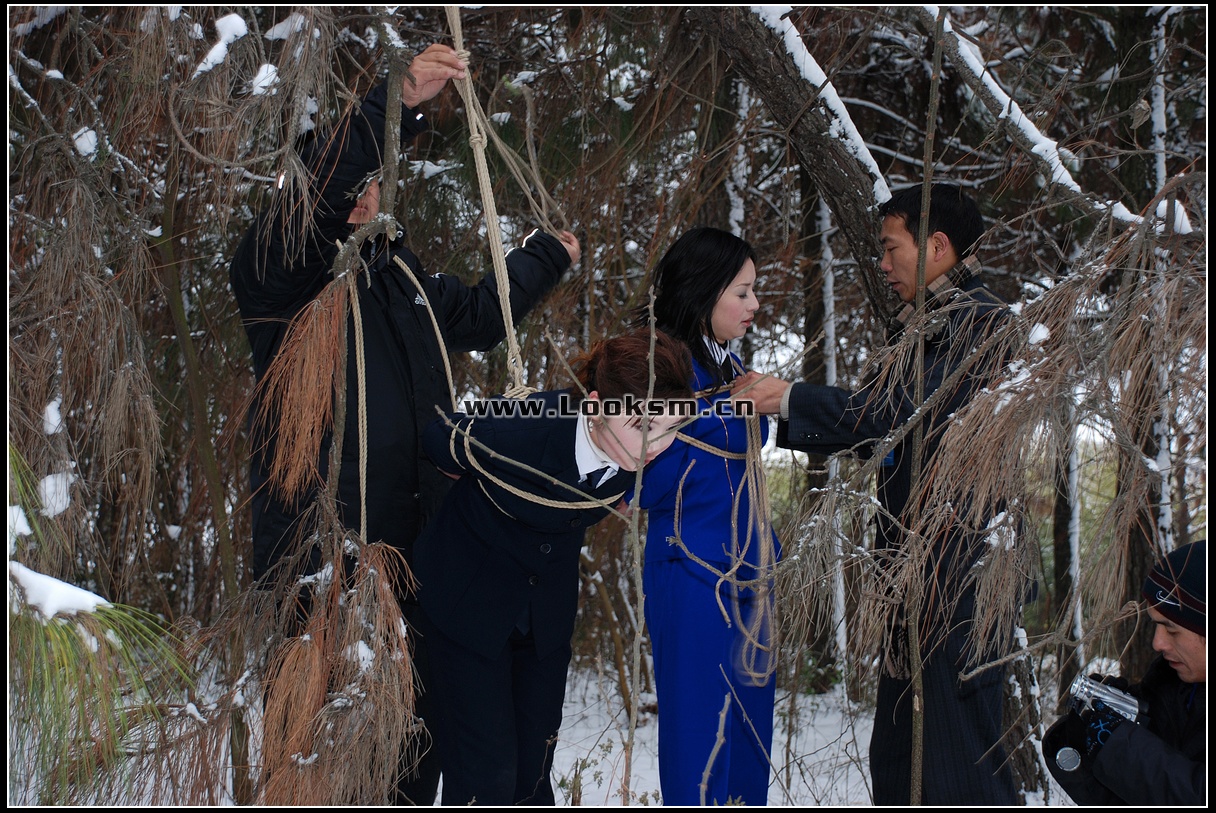 Chinese Rope Model 181-3