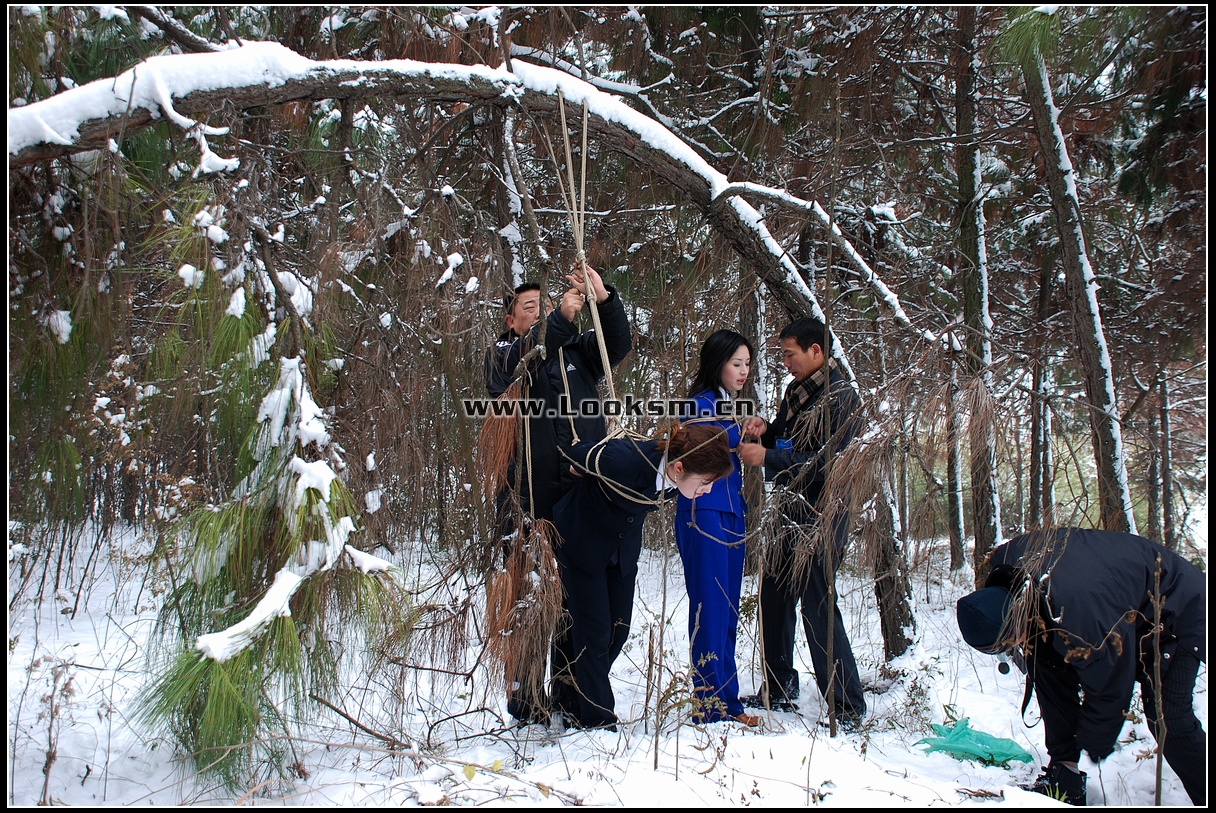 Chinese Rope Model 181-3