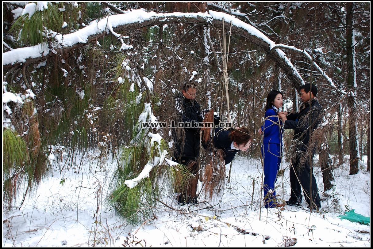 Chinese Rope Model 181-3
