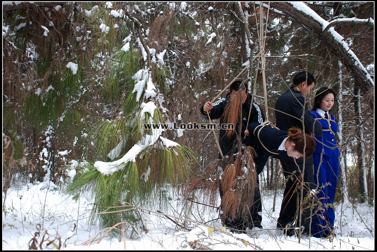 Chinese Rope Model 181-3