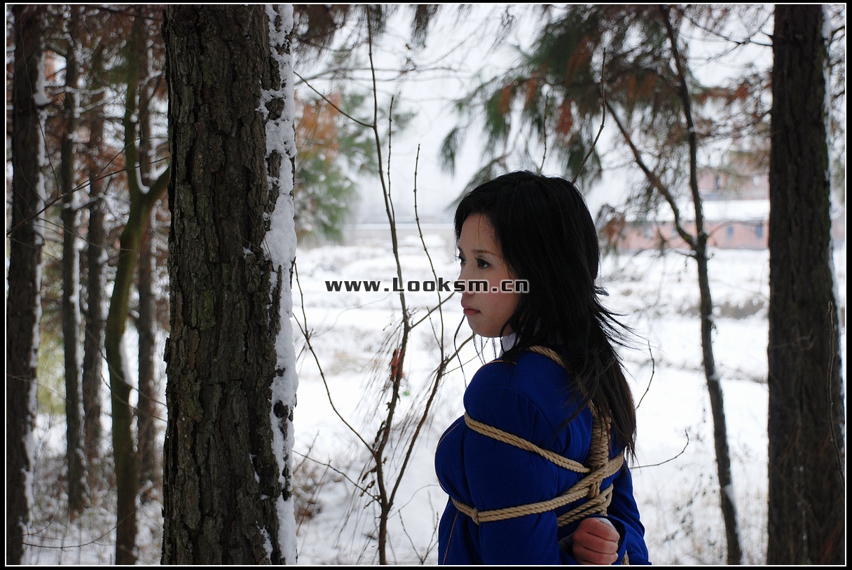 Chinese Rope Model 181-3