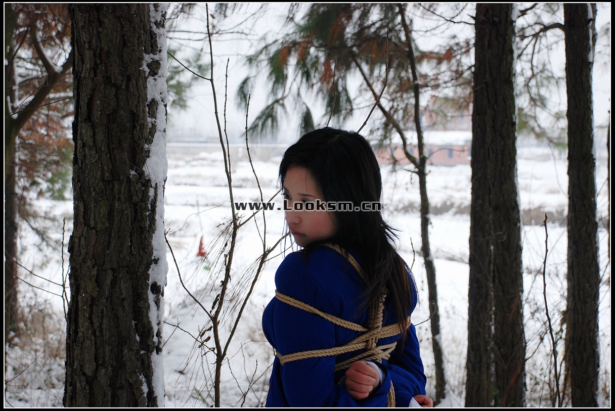 Chinese Rope Model 181-3