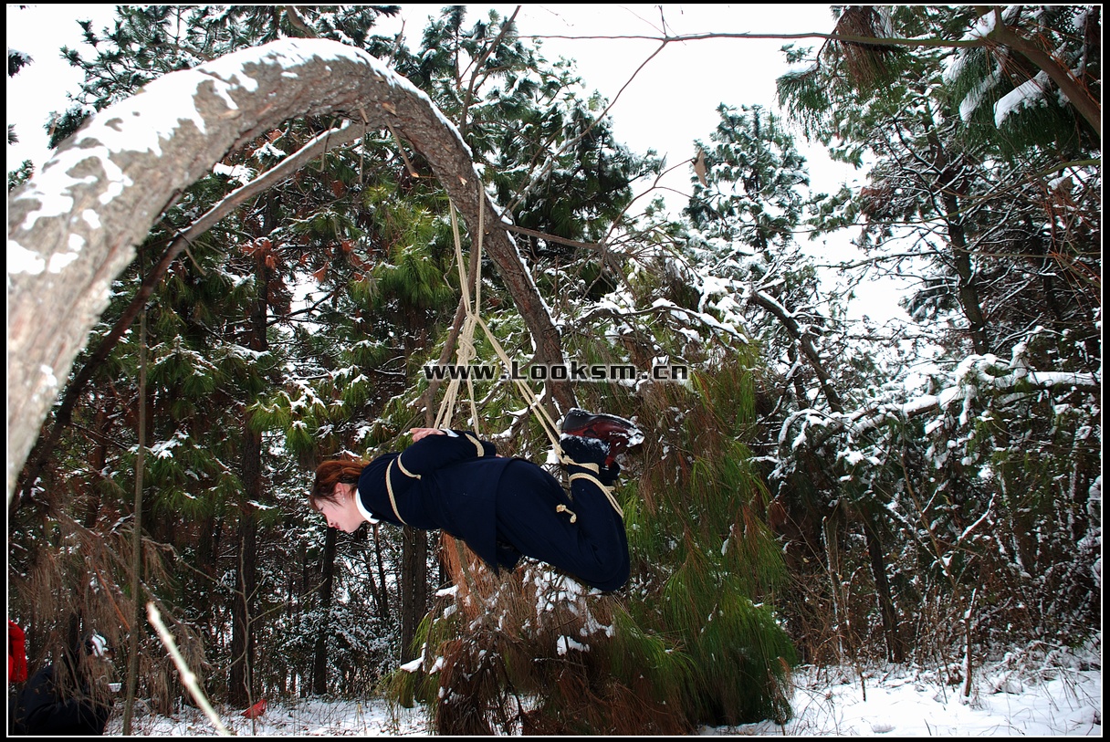 Chinese Rope Model 181-3