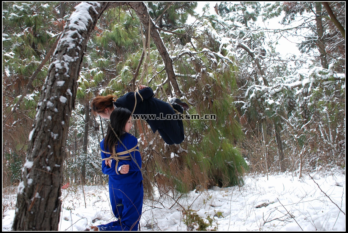 Chinese Rope Model 181-3