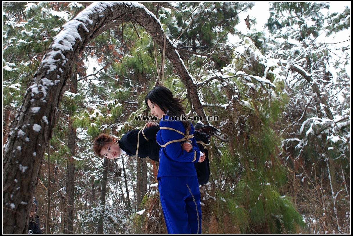 Chinese Rope Model 181-3