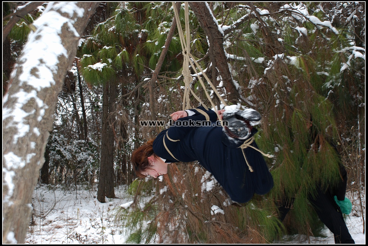 Chinese Rope Model 181-3