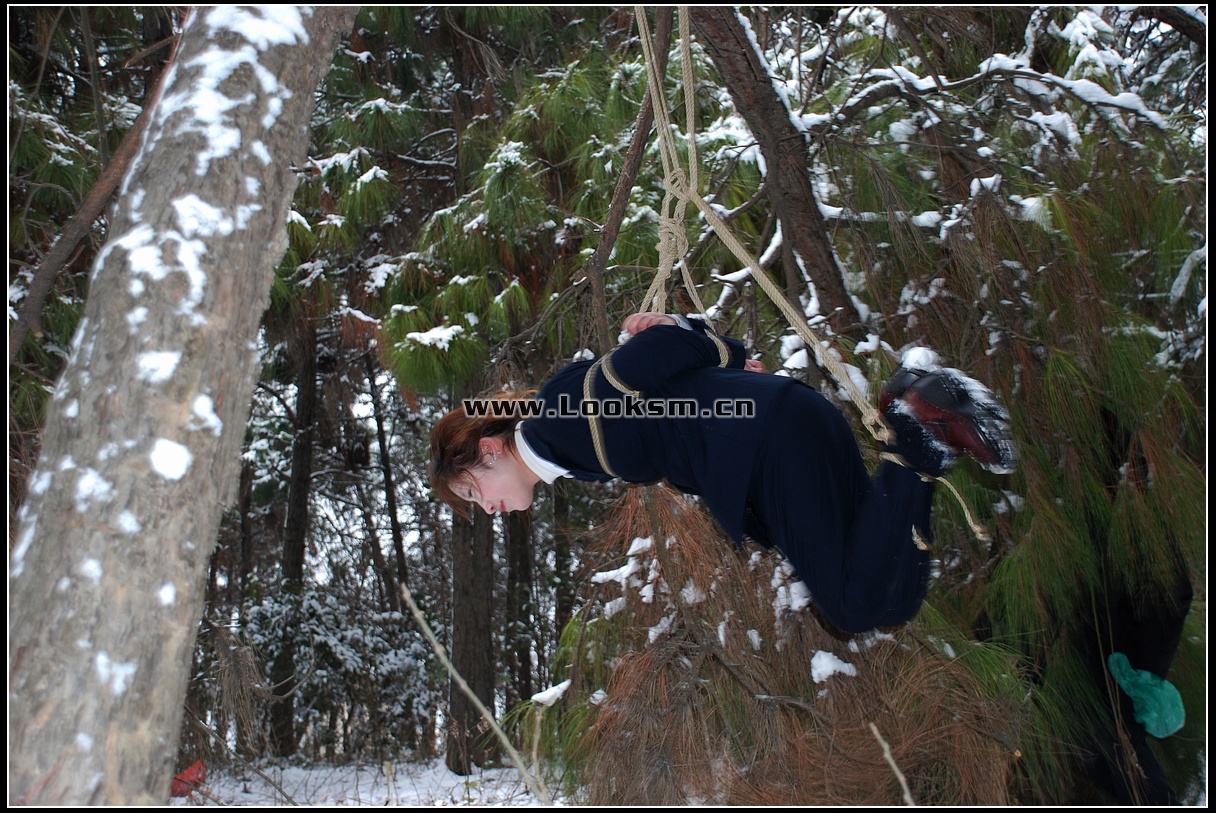 Chinese Rope Model 181-3