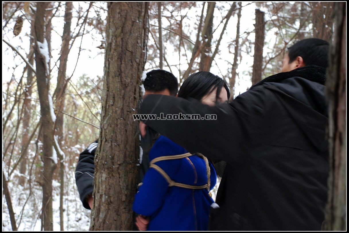 Chinese Rope Model 181-3