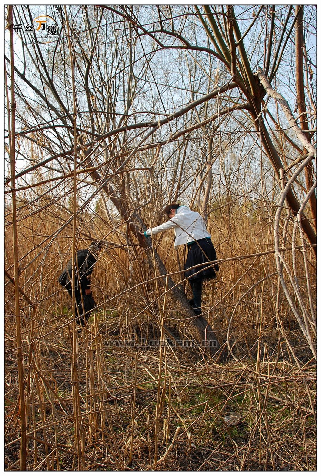 Chinese Rope Model 202