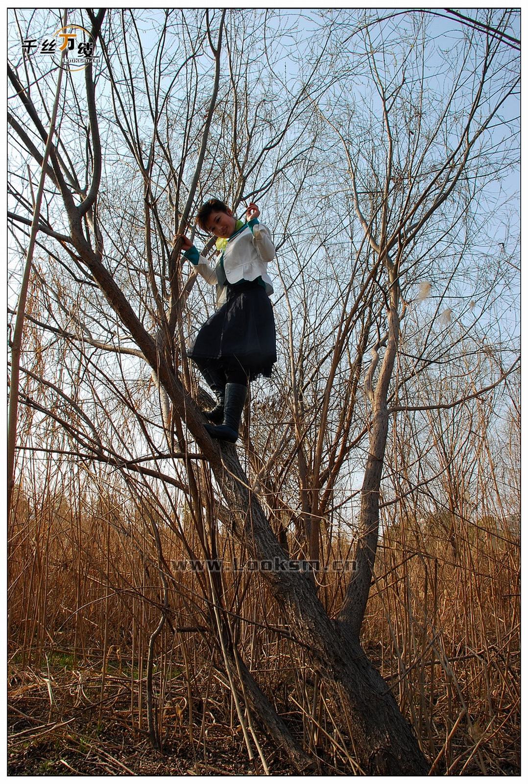 Chinese Rope Model 202