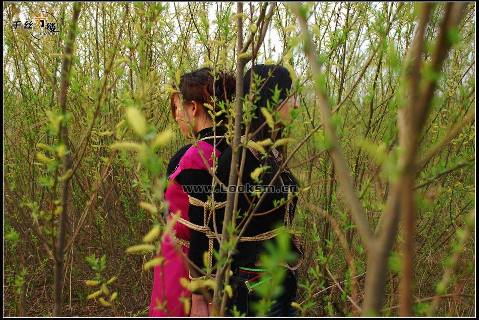 Chinese Rope Model 213