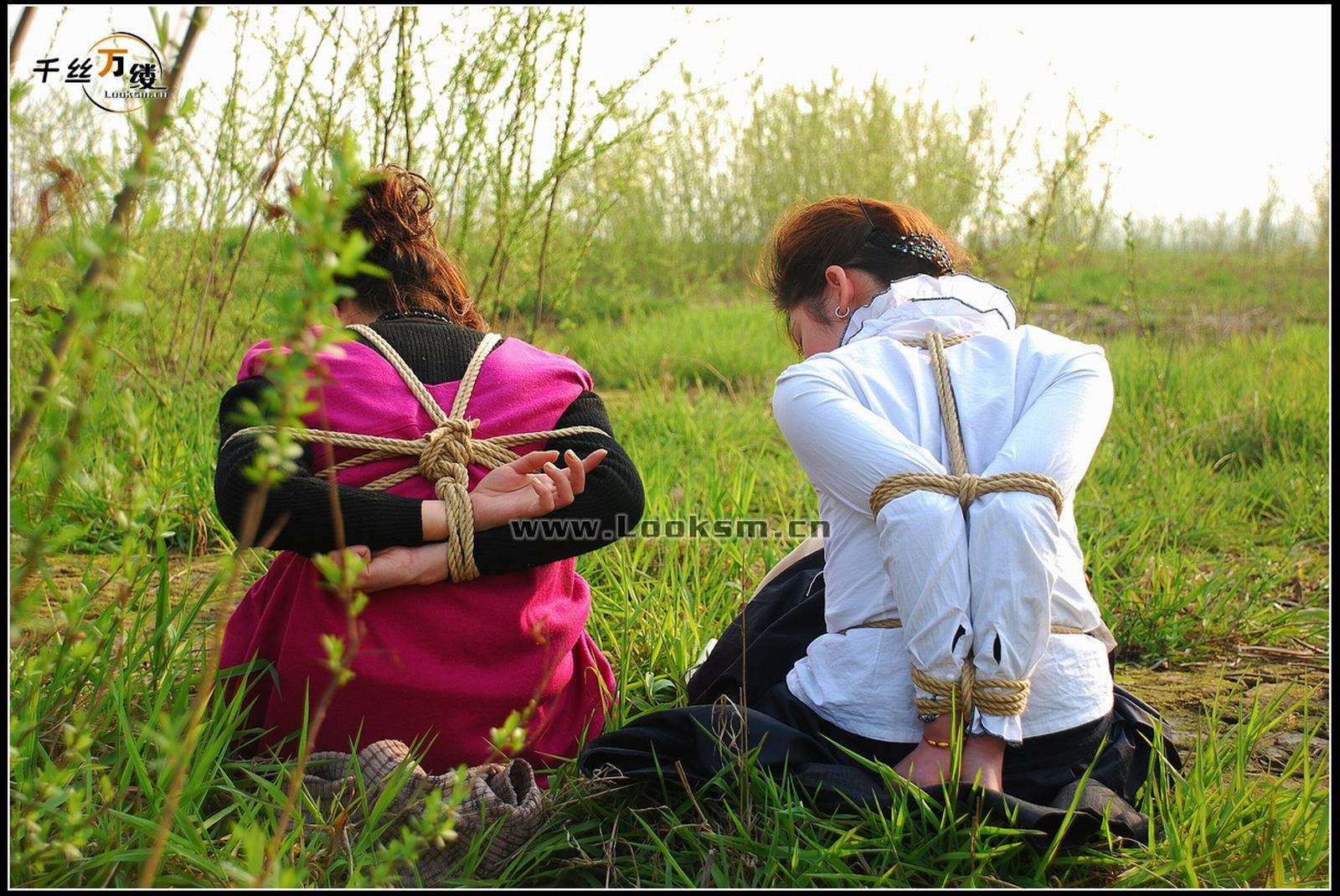 Chinese Rope Model 213