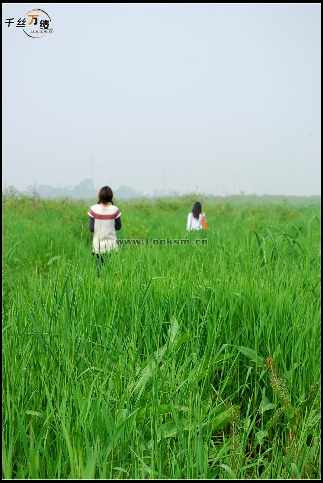 Chinese Rope Model 232