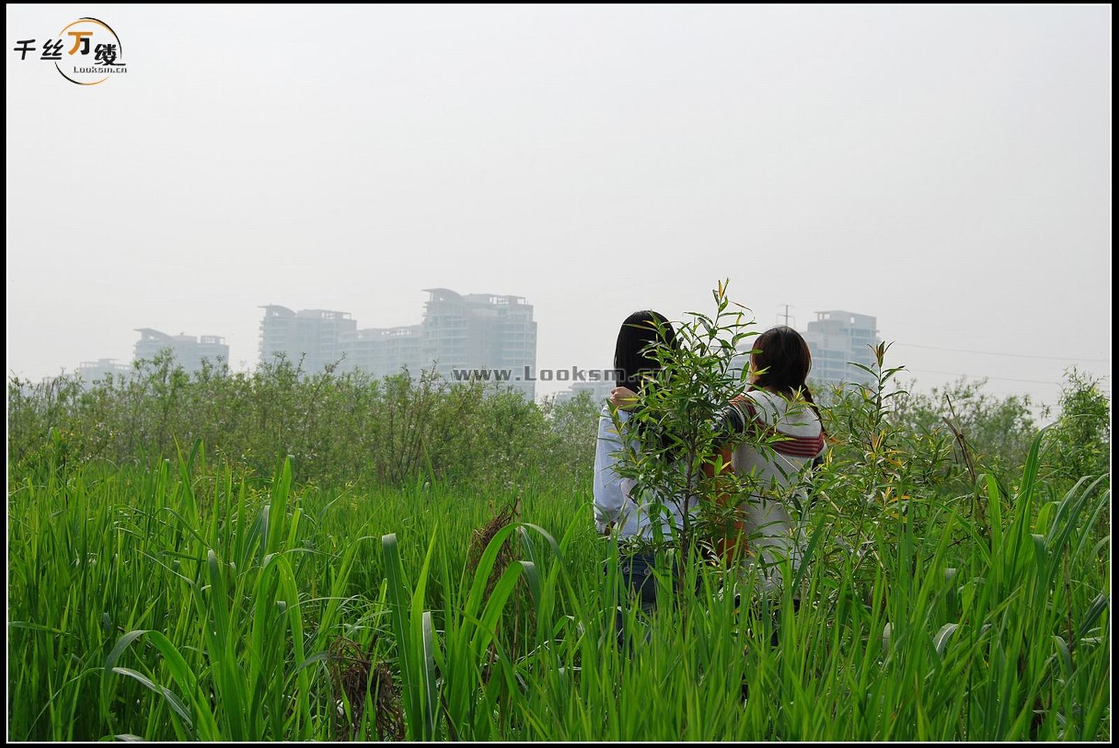 Chinese Rope Model 232