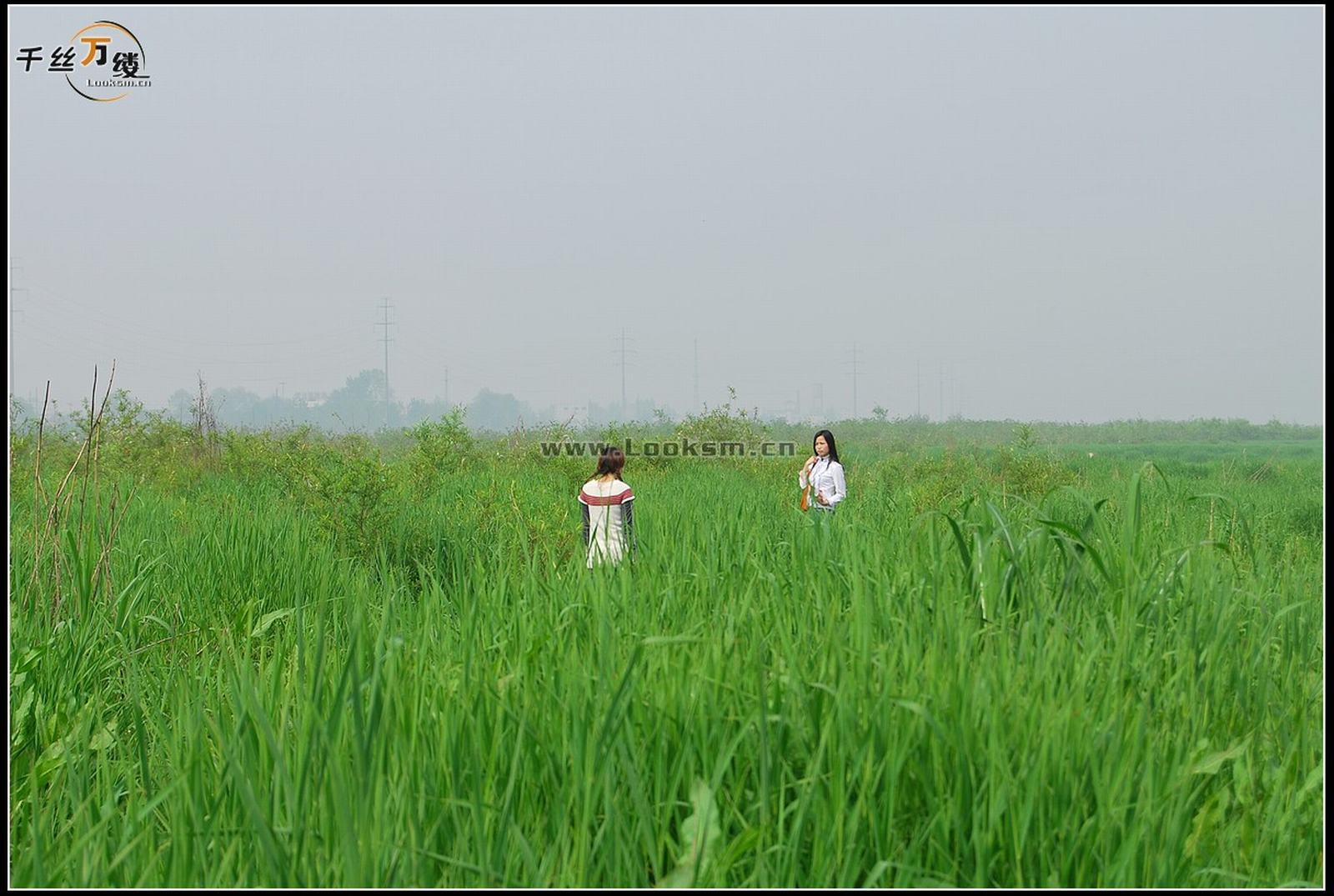 Chinese Rope Model 232