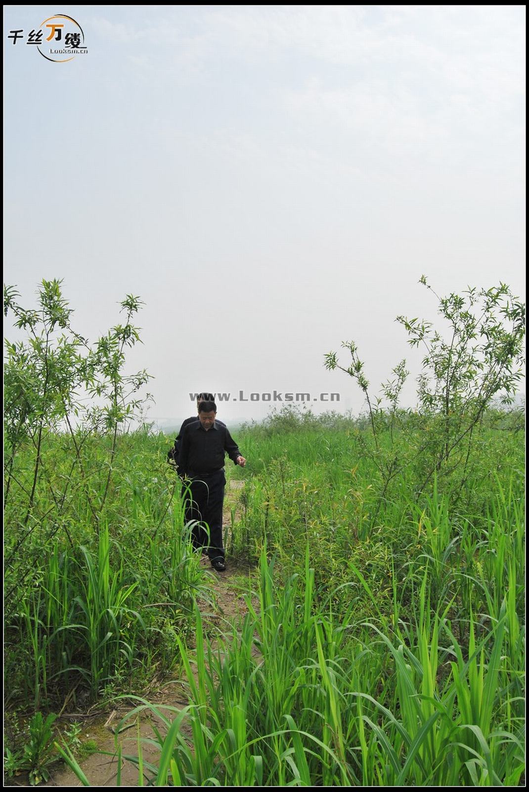 Chinese Rope Model 232