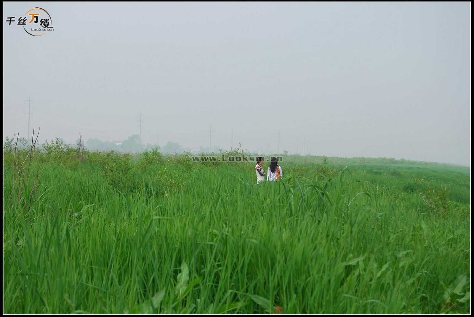 Chinese Rope Model 232