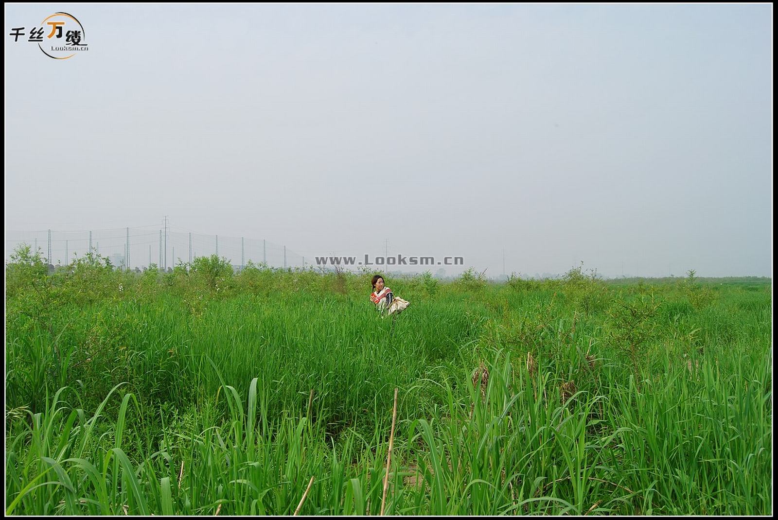 Chinese Rope Model 232