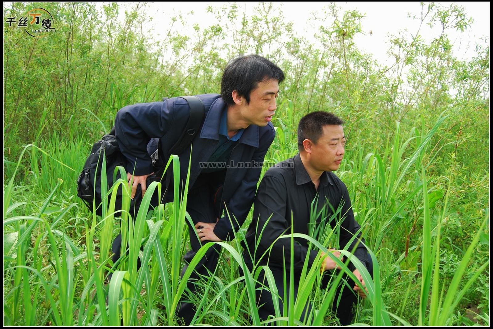 Chinese Rope Model 232