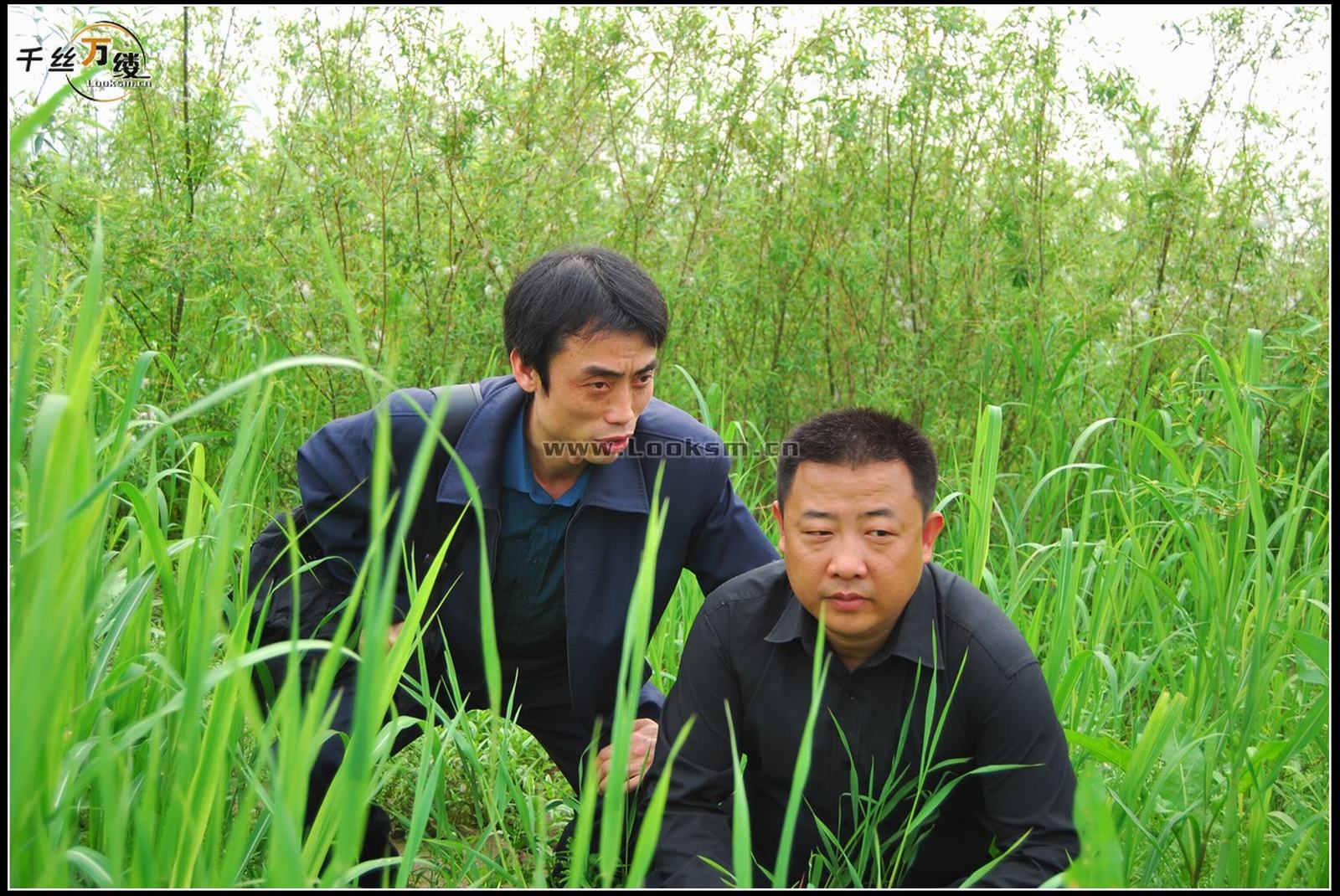 Chinese Rope Model 232