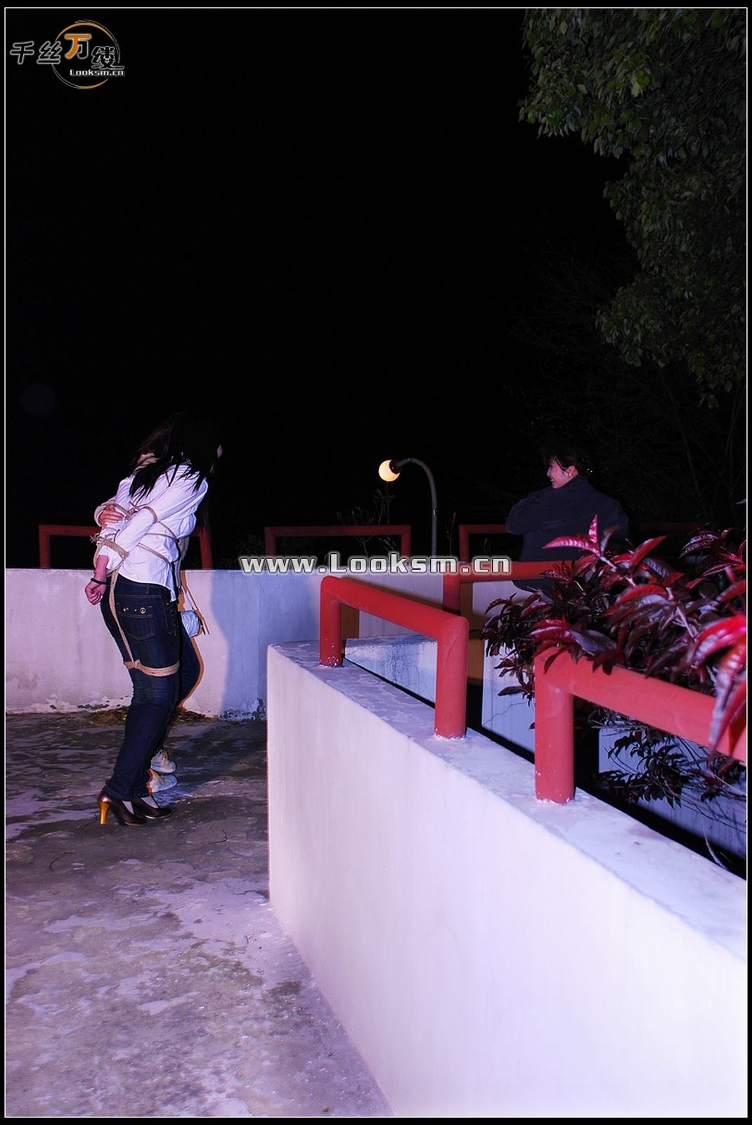 Chinese Rope Model 258