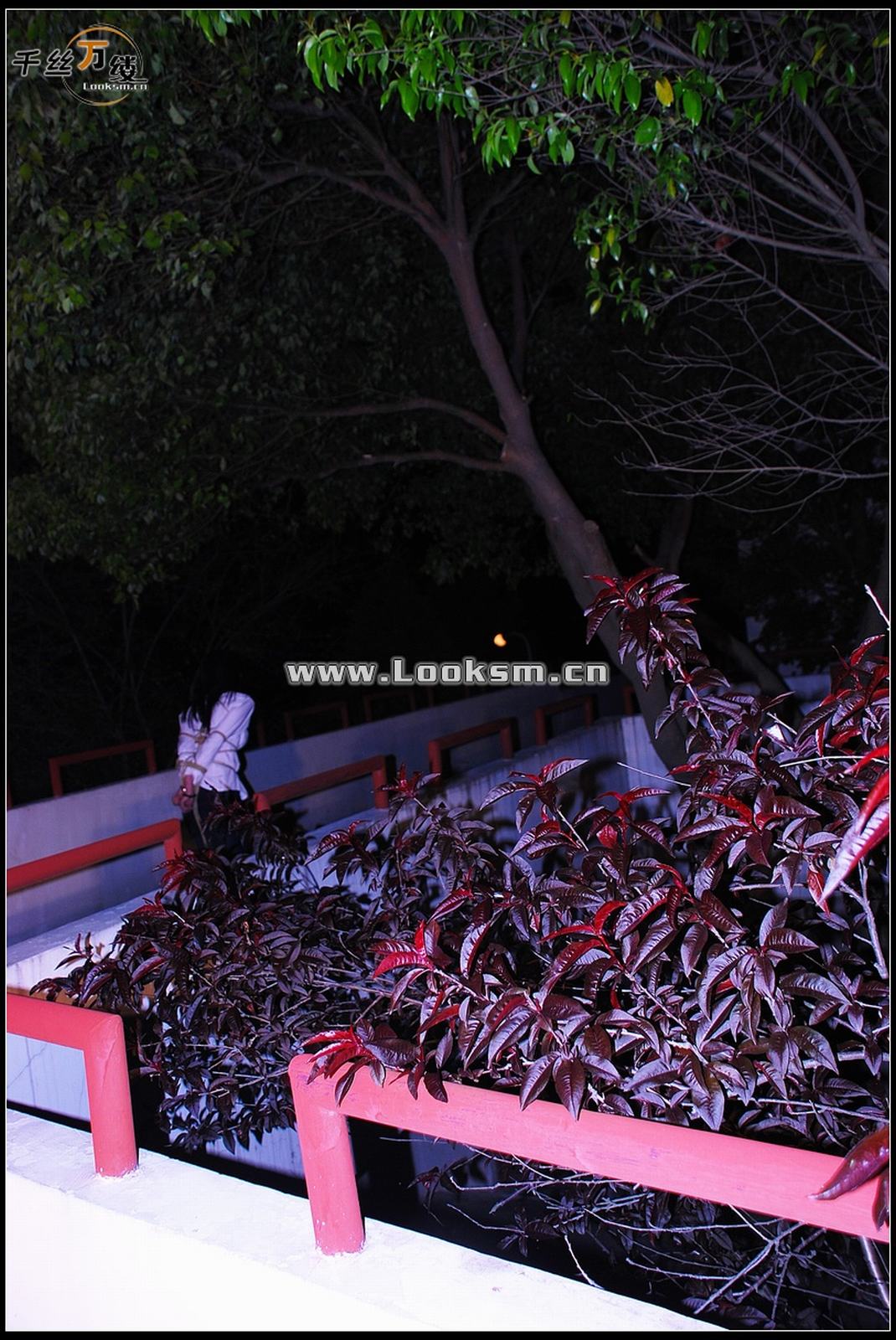 Chinese Rope Model 258