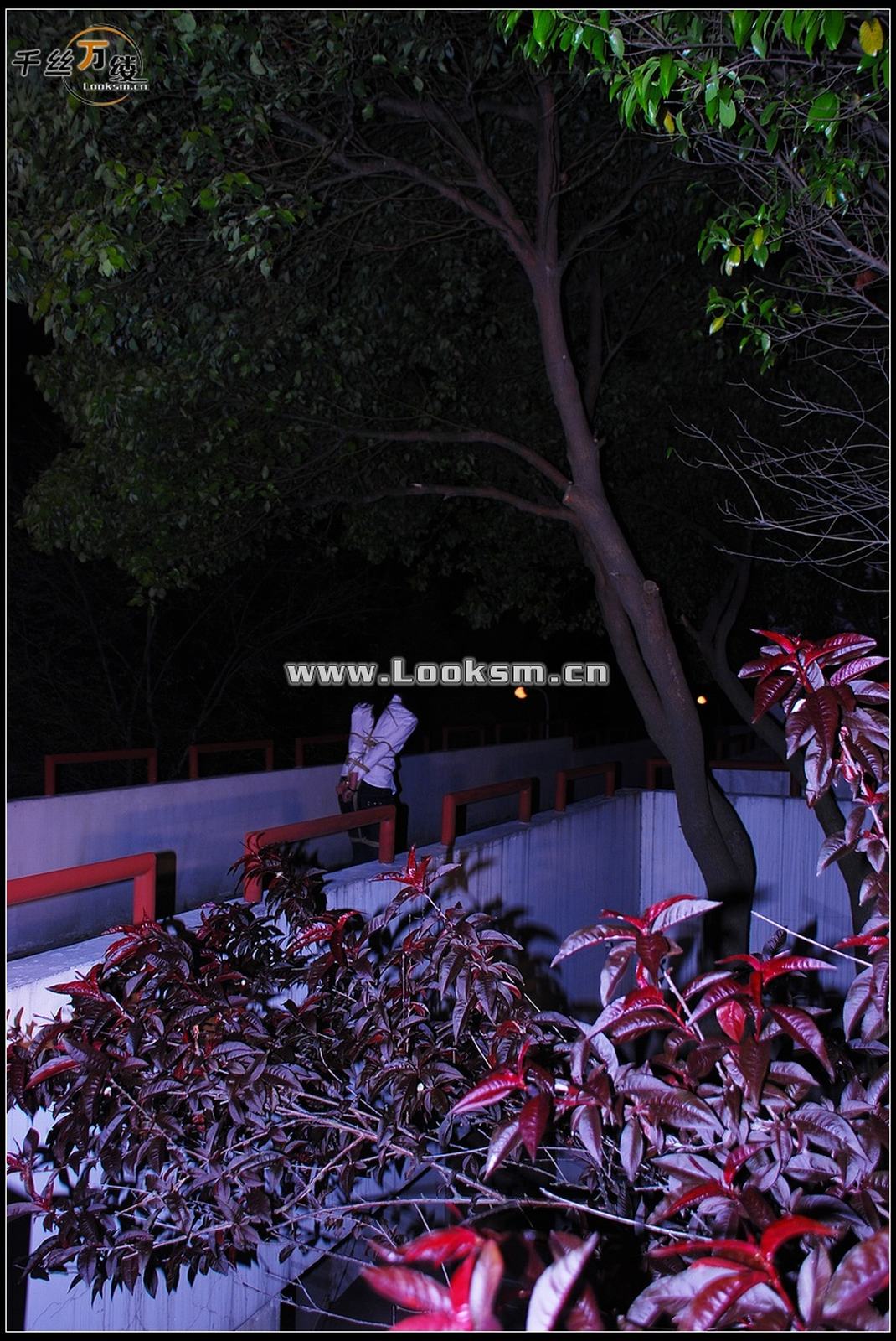 Chinese Rope Model 258