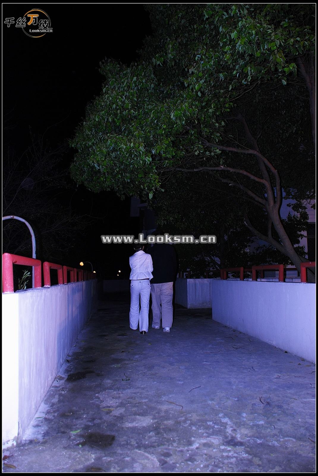 Chinese Rope Model 258