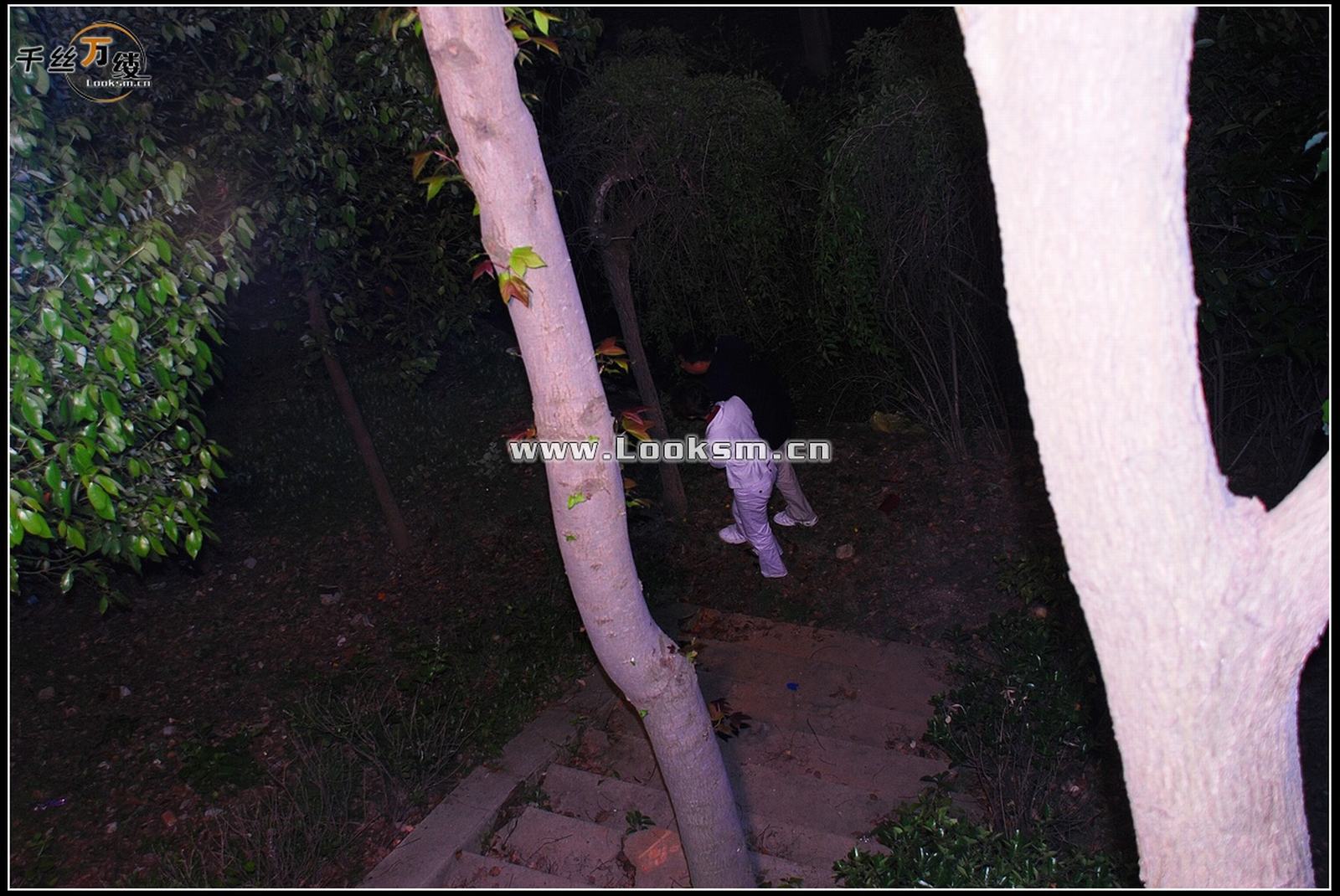 Chinese Rope Model 258