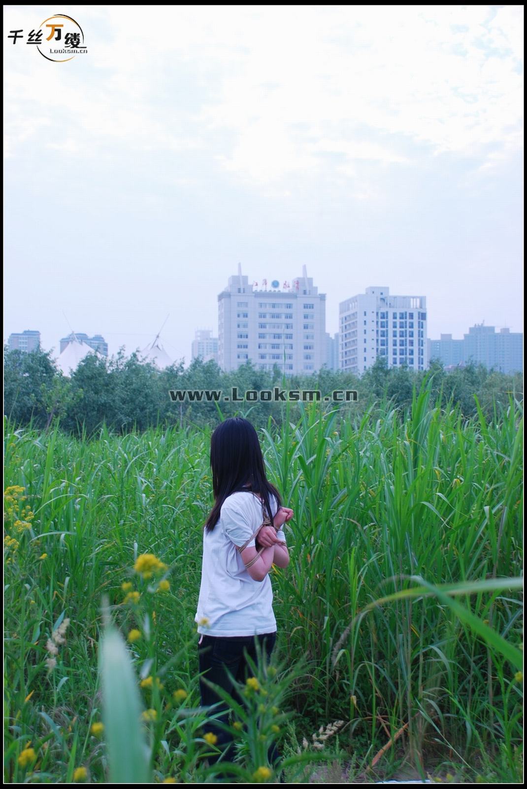 Chinese Rope Model 268