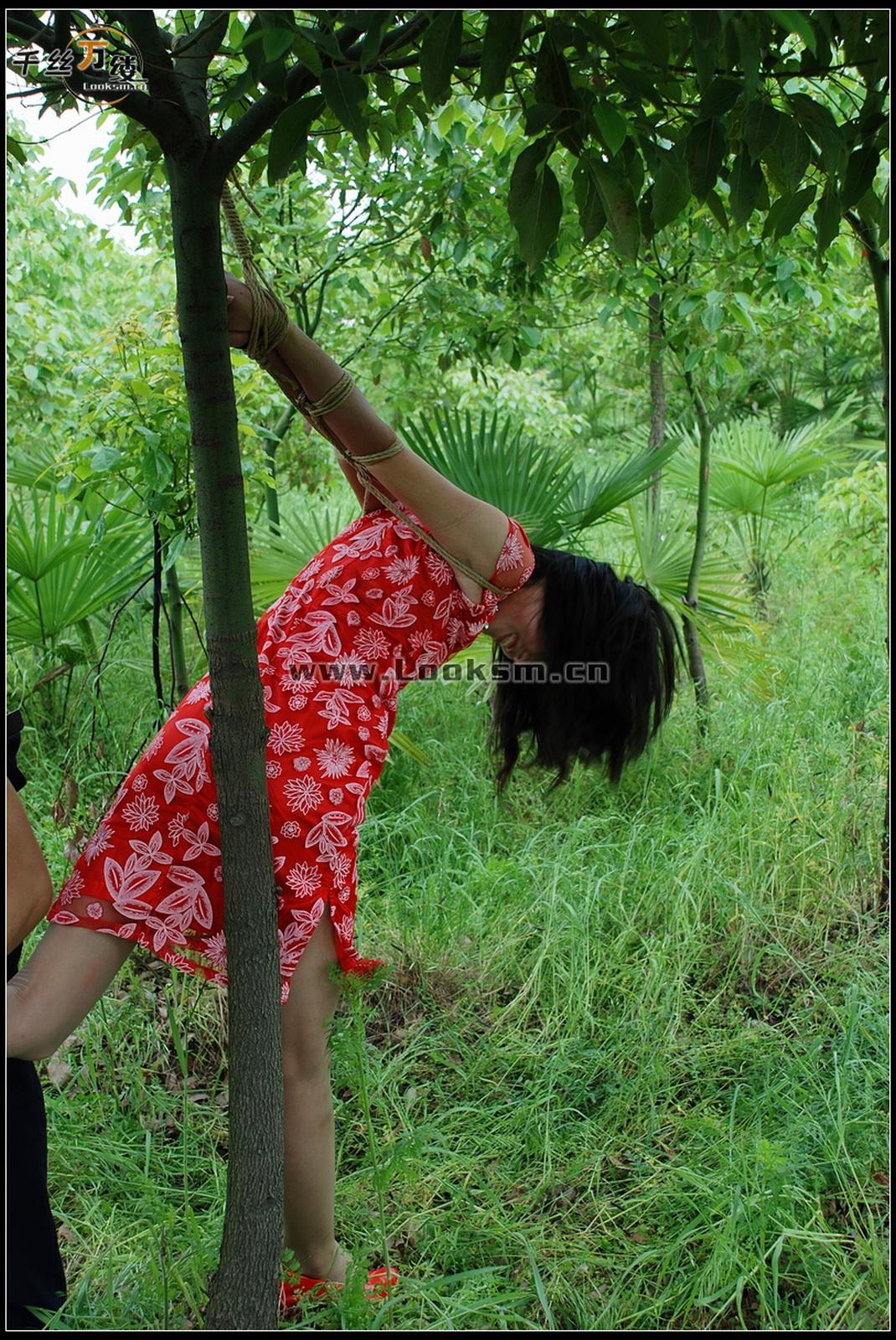 Chinese Rope Model 271