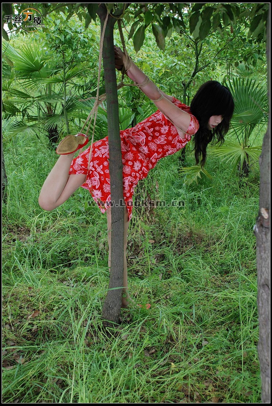 Chinese Rope Model 271