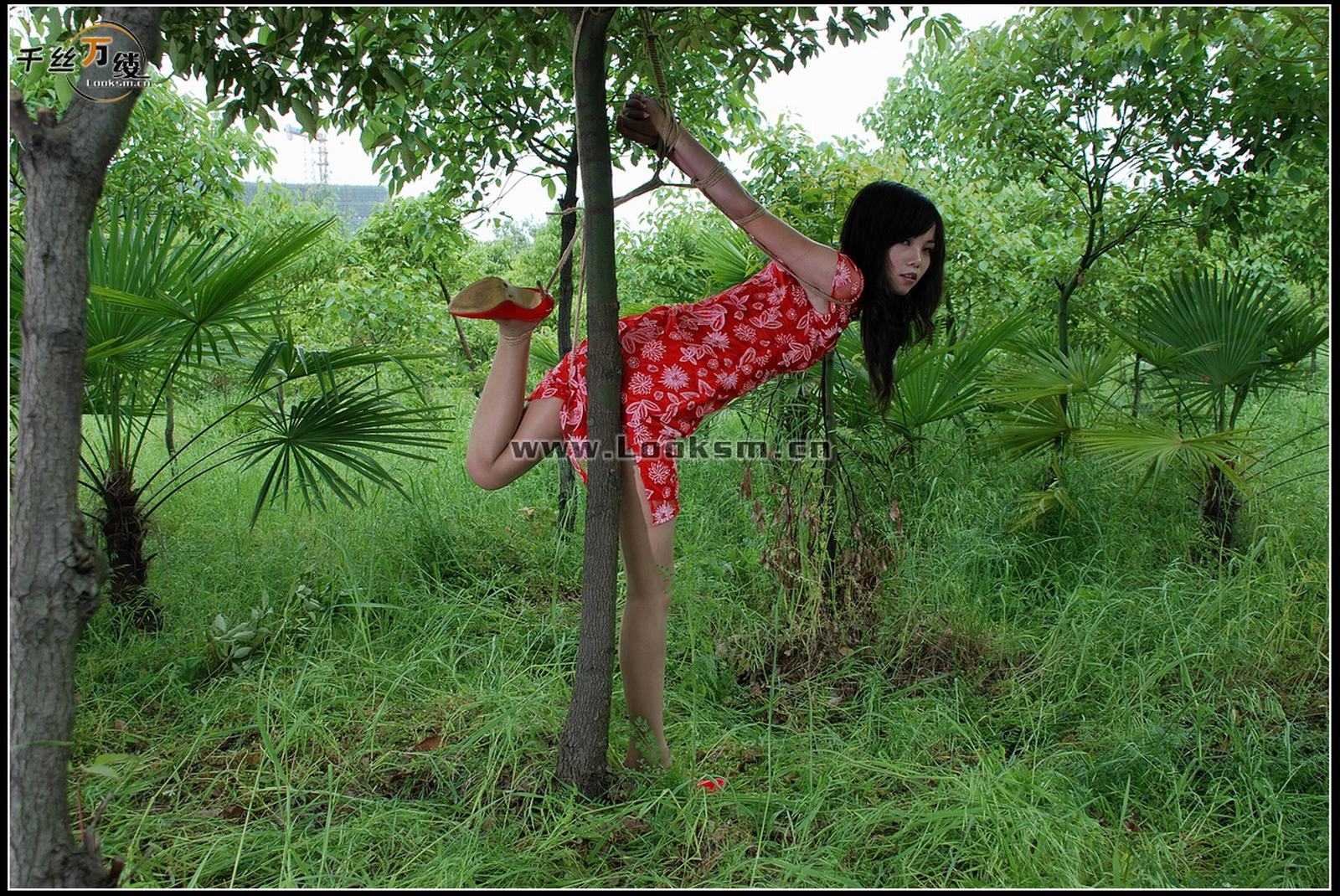 Chinese Rope Model 271