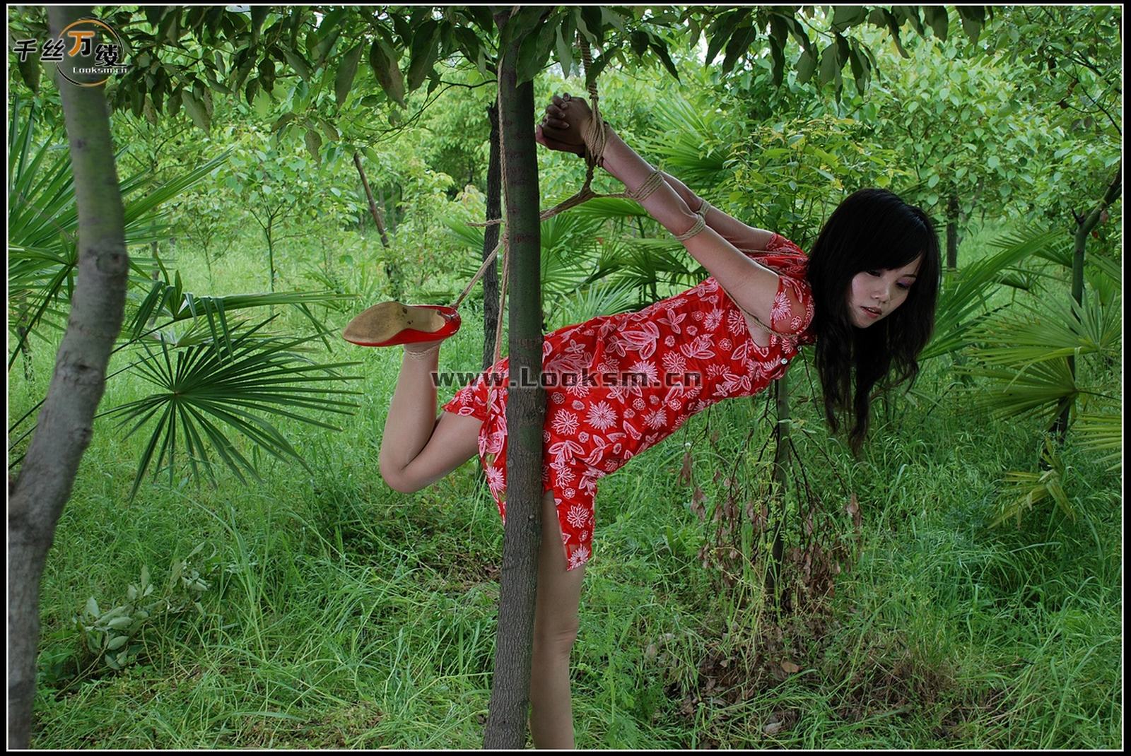 Chinese Rope Model 271