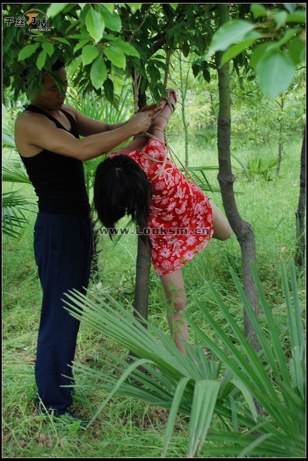 Chinese Rope Model 271