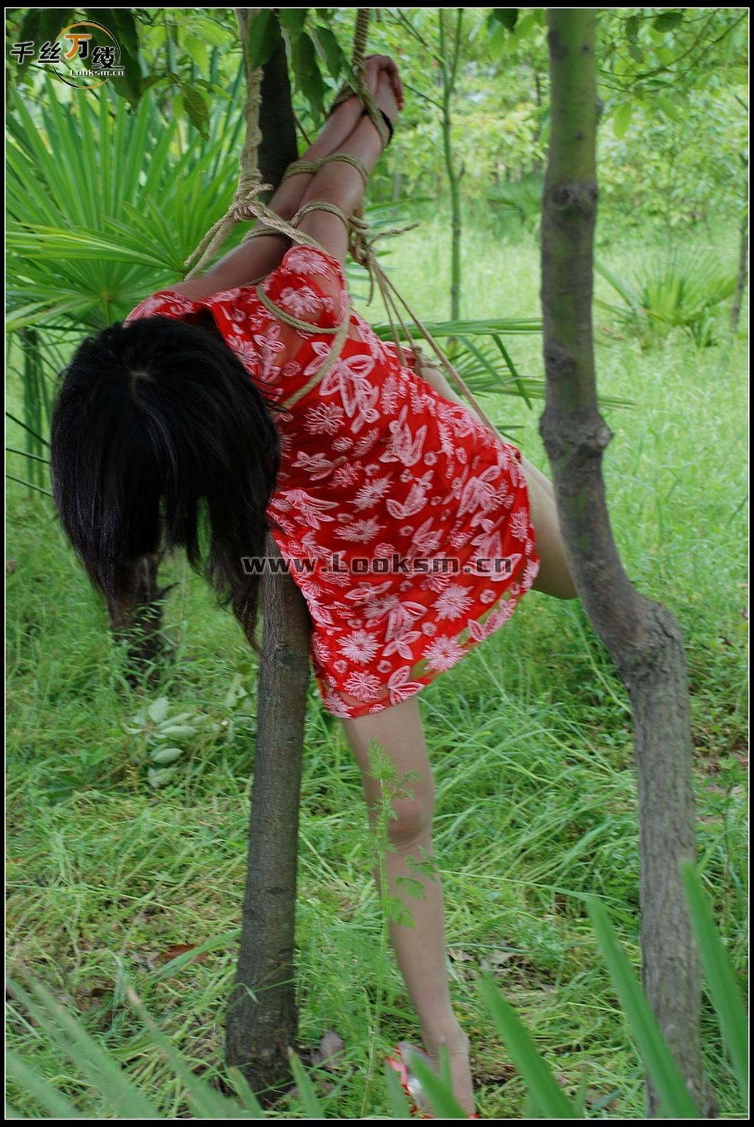 Chinese Rope Model 271